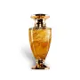 Jade Giallo Extrait de Parfum 100 мл – Луксозен арабски парфюм за него и нея със свеж дървесен арома, снимка 5