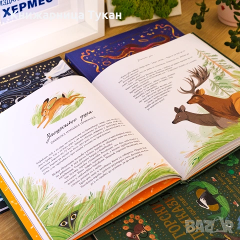 Горски приказки от цял свят, снимка 4 - Детски книжки - 55202204