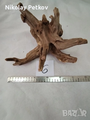 Корени за аквариум, терариум, паладиум , снимка 4 - Аквариуми - 44083269