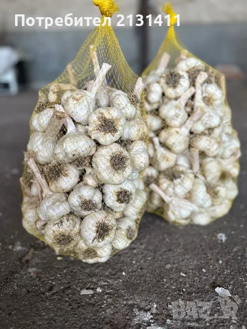 Български чесън 