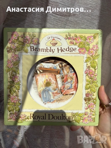 Brambly hedge