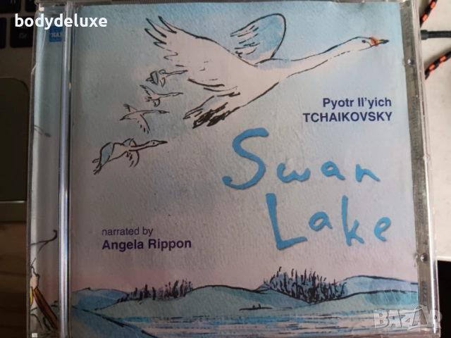 TSCHAIKOWSKY аудио дискове, снимка 6 - CD дискове - 51639783