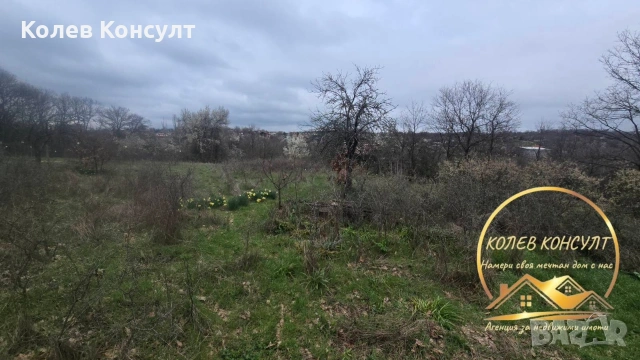 🥇 Агенция “Колев Консулт” продава парцел със стара къща в град Димитровград, вилна зона Габера , снимка 3 - Къщи - 54035642