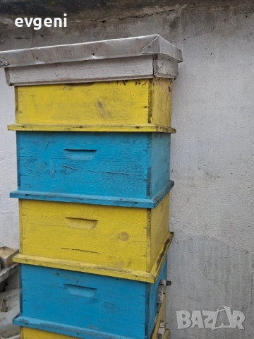 Празни кошери Л.Р , снимка 2 - За пчели - 54328851