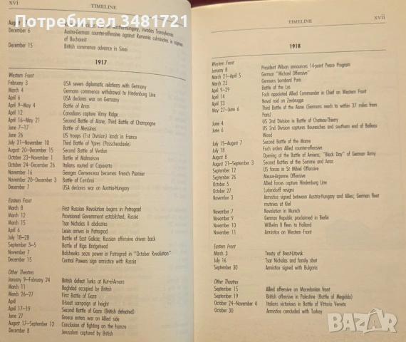 A Brief History of the First World War, снимка 8 - История, политика и общество - 55065752