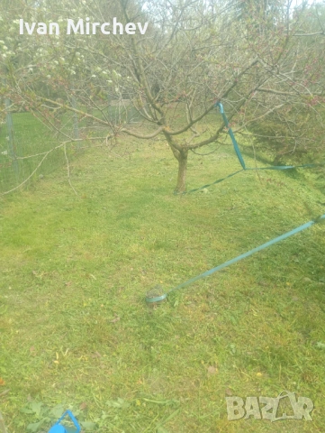 Косене на трева и чистене на дворове , снимка 6 - Почистване на домове - 54357921