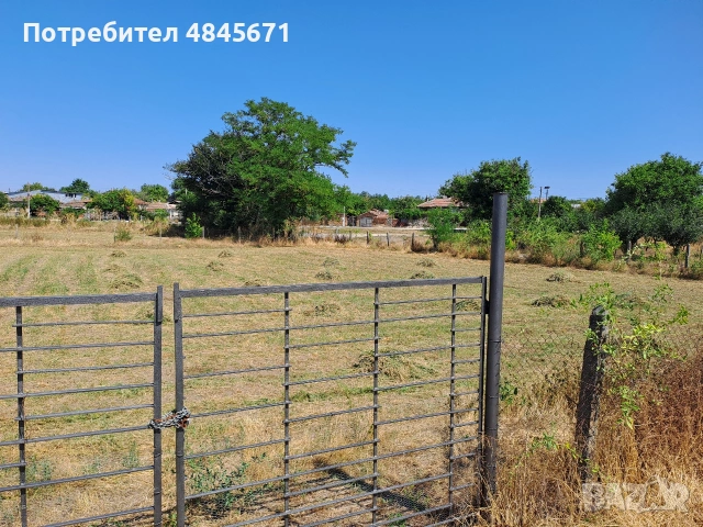 Продавам дворно място в село Царевец  , снимка 3 - Парцели - 54765953