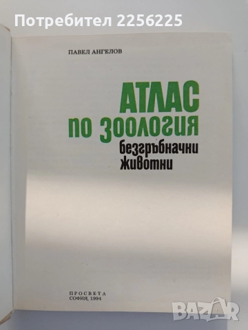 Атлас по зоология ( безгръбначни животни), снимка 9 - Специализирана литература - 55178721