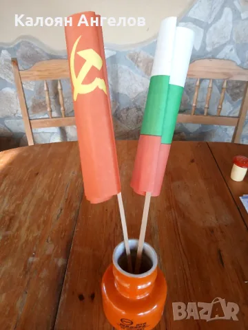 Детски Соц знамена