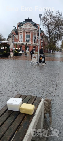 Домашно зряло сирене и кашкавал, снимка 4 - Домашни продукти - 54295565