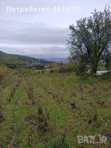 Продава се парцел 5200 м2 с ток и вода и два кладенеца в гр Аксаково , снимка 3 - Други услуги - 54385261