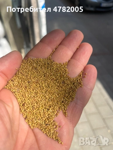 Продавам люцерното семе