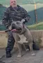Американско були Хл, снимка 4