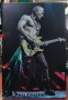 Phil Collen-метална табела(плакет), снимка 1