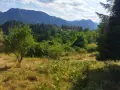 Продава панорамен южен парцел в гр.Смолян, снимка 15