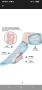 Elegante Auto Shiatsu Foot Massager, снимка 2