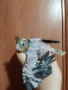 Бебе папагал корела корели, снимка 2