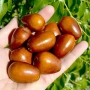 Хинап (Гигантският плод) сорт ,,Ли", снимка 2