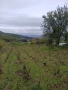 Продава се парцел 5200 м2 с ток и вода и два кладенеца в гр Аксаково , снимка 3