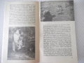 Книга "Животните в първи клас - Е. Рутман" - 30 стр., снимка 3
