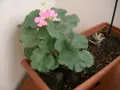 Фотоапарат Vivitar ViviCam 8340, снимка 14