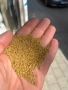 Продавам люцерното семе, снимка 1