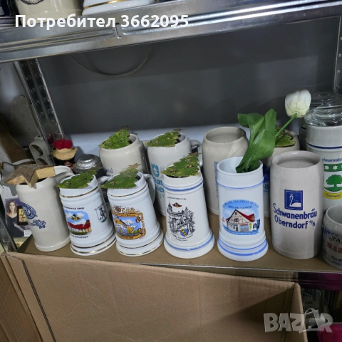 Чаши и Халби