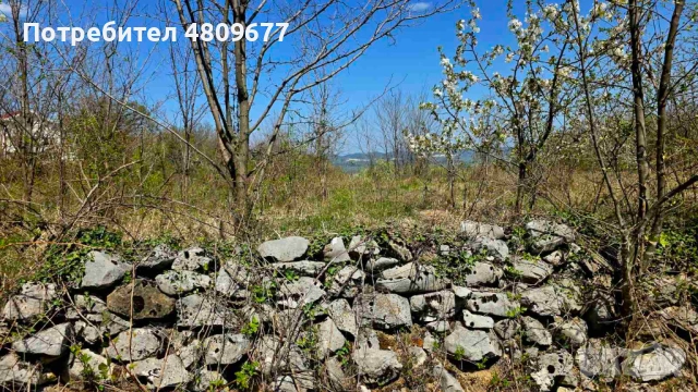 Парцел в село Паволче до Враца – 3 имота общо 1994 кв.м, снимка 6 - Парцели - 54330816