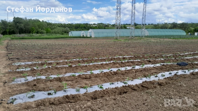 Оранжериино стопанство, снимка 13 - Земеделска земя - 50874276
