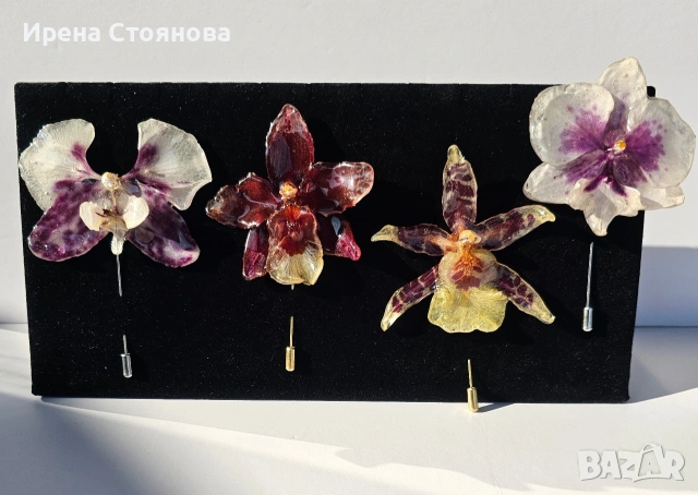Ръчно изработени брошки/игли с естествен цвят на орхидея, запечатани в епоксидна смола 