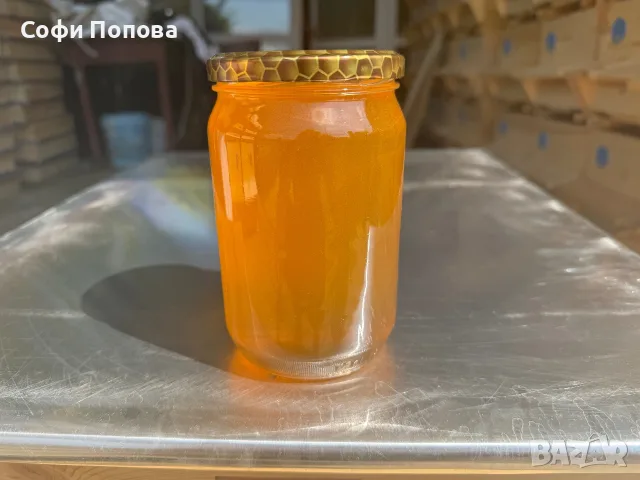 НАТУРАЛЕН ПЧЕЛЕН МЕД, снимка 2 - Пчелни продукти - 34856715