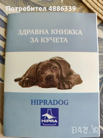 Лабрадор бебета, снимка 6 - Лабрадор ретривър - 55569921
