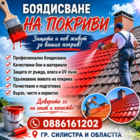 Боядисване на Покриви