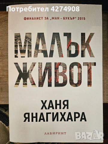 Малък живот- Ханя Янагихара 