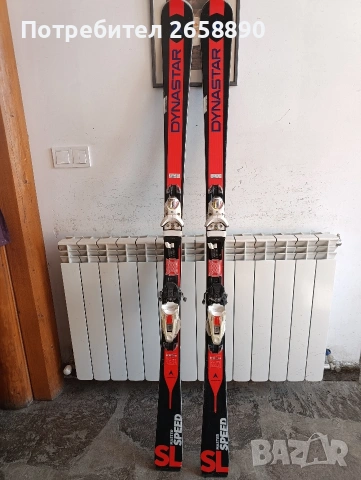 ски Dynastar master speed SL 173см