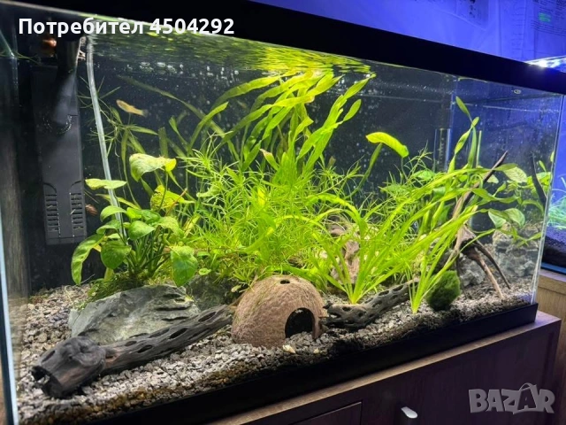 Продавам два аквариума Ciano 60 черен и Dennerle Nano Cube 20L LED с пълно оборудване и консумативи