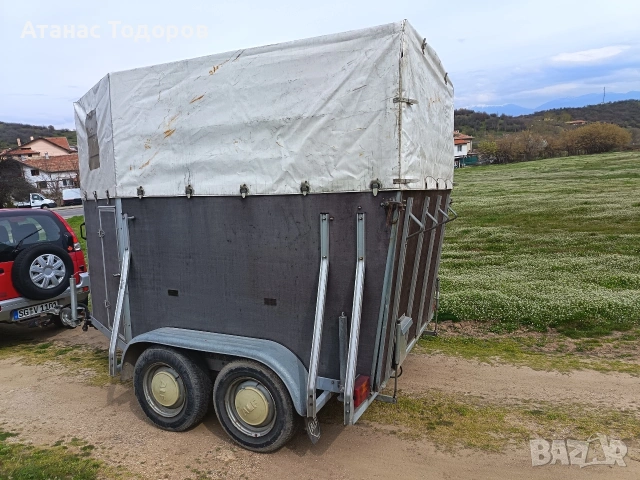 ремарке за коне, снимка 3 - Ремаркета - 53994875