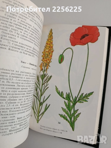 Билки и билкосъбиране, снимка 2 - Специализирана литература - 54914847