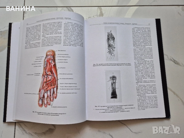 НОВИ! КОЛЕКЦИЯ " АТЛАС ПО АНАТОМИЯ НА ЧОВЕКА " Р.Д. СИНЕЛНИКОВ , снимка 14 - Здраве, медицина и спорт - 55137759