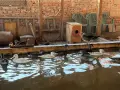 Фазани и патици, снимка 6