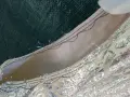 Автентично турско елече сребърно, снимка 5