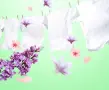 Микро гранули за омекотяване на дрехи / Вариант 1: Лавандула; Вариант 2: Роза; Вариант 3: Горски аро, снимка 2