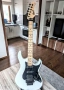 Cort G250FR, 2020, Indonesia, снимка 2
