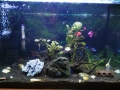 Аквариум 60 л, снимка 3