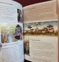Пътеводител из вселените на Марвел / The Complete Marvel Cosmos. Hidden Universe Travel Guides, снимка 6