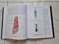 НОВИ! КОЛЕКЦИЯ " АТЛАС ПО АНАТОМИЯ НА ЧОВЕКА " Р.Д. СИНЕЛНИКОВ , снимка 14