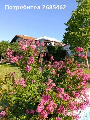Къща с. Веселие с акт 16 от собственик!, снимка 2 - Къщи - 55264923
