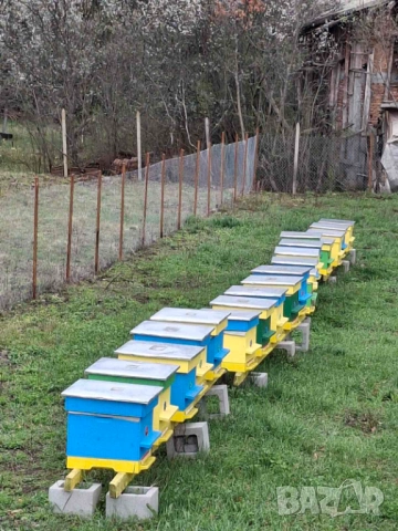 Продавам пчелни семействас