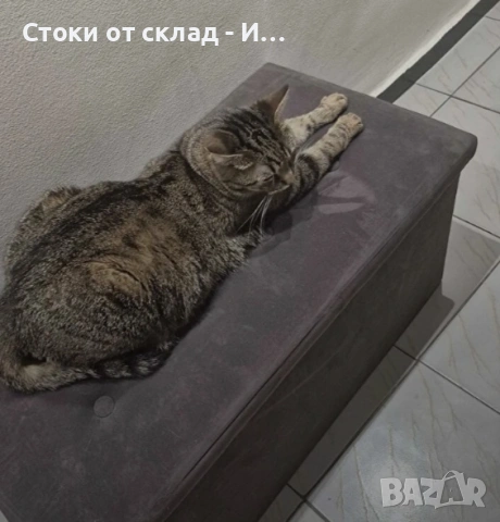 Сгъваемо диванче, снимка 6 - Дивани и мека мебел - 54798602