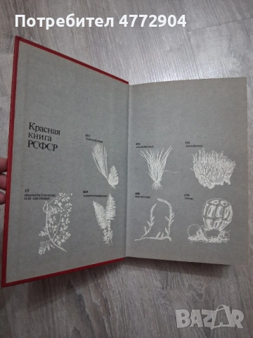 Красная книга РСФСР Растения , снимка 6 - Енциклопедии, справочници - 54404039